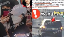 成毅狗仔爆料视频播放大全,揭秘明星幕后生活瞬间